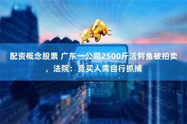 配资概念股票 广东一公司2500斤活鳄鱼被拍卖，法院：竞买人需自行抓捕